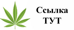 Купить наркотики в Снежинске